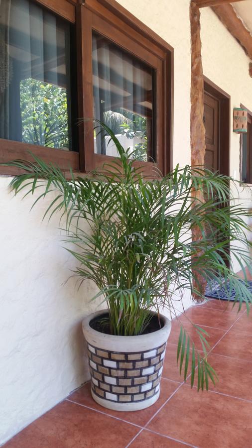 Moon Dreams Yum Balam Hotell Holbox  Eksteriør bilde