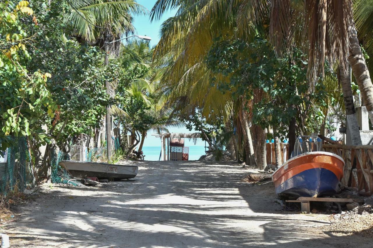 Moon Dreams Yum Balam Hotell Holbox  Eksteriør bilde