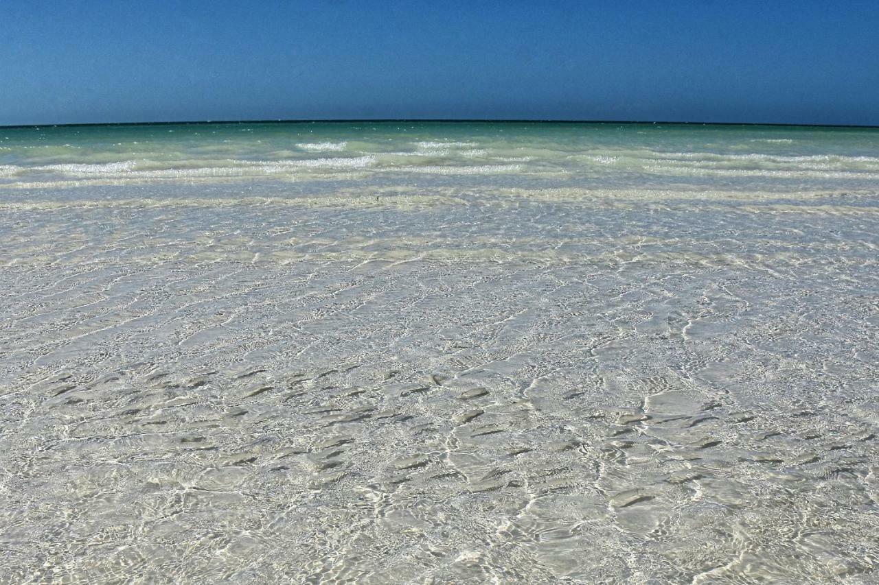 Moon Dreams Yum Balam Hotell Holbox  Eksteriør bilde