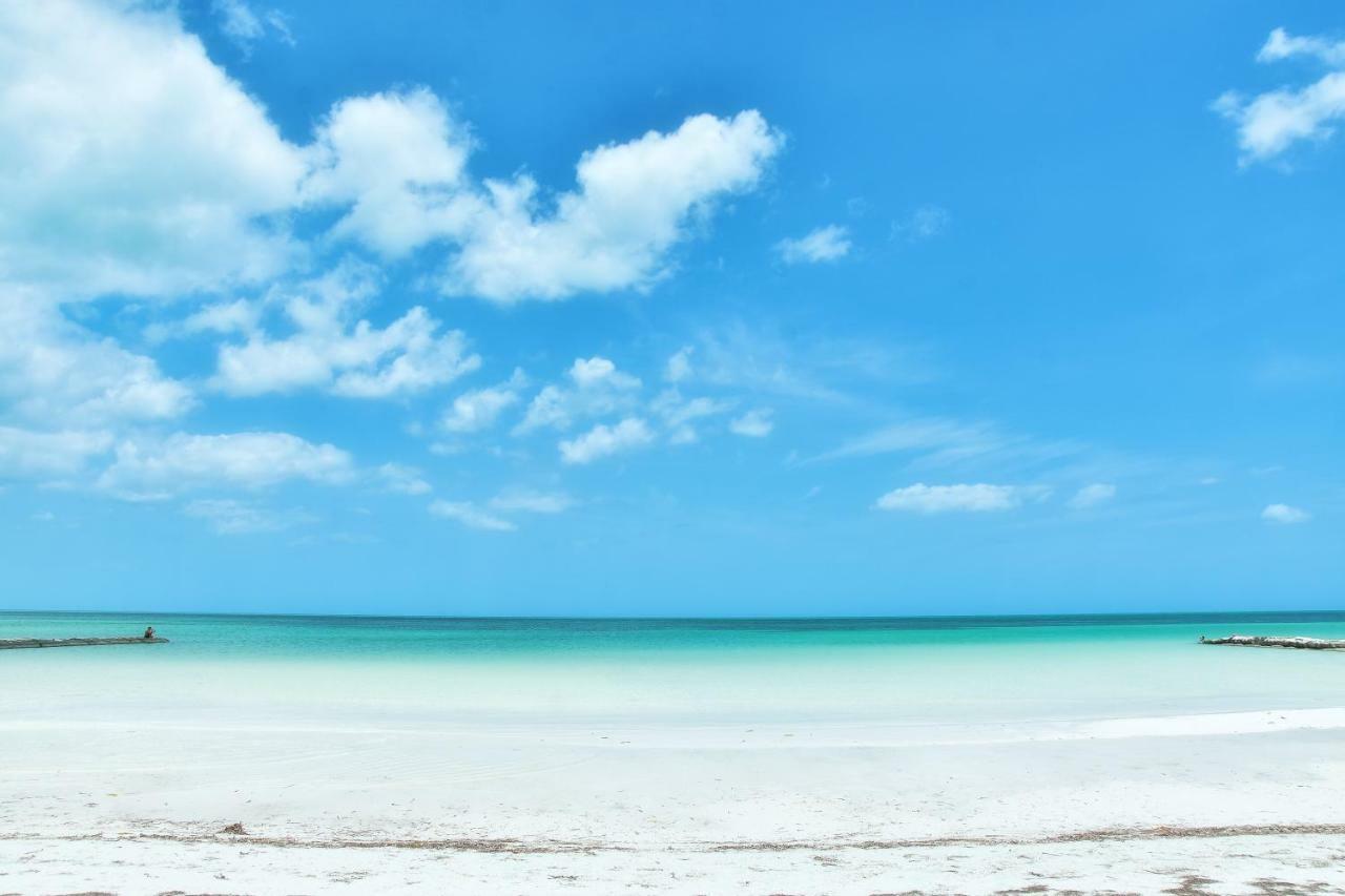 Moon Dreams Yum Balam Hotell Holbox  Eksteriør bilde