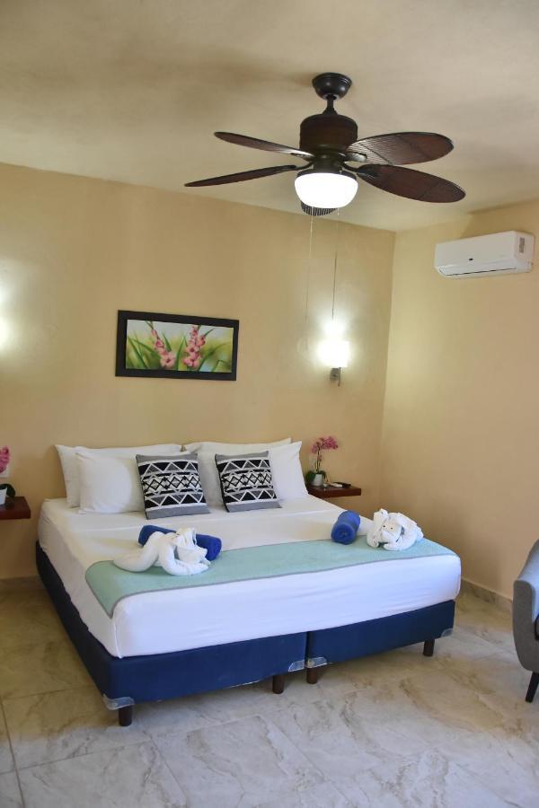 Moon Dreams Yum Balam Hotell Holbox  Eksteriør bilde